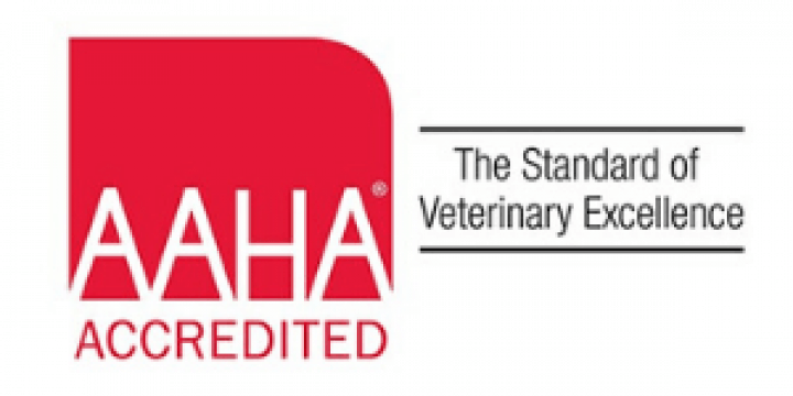Aaha-Badge